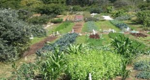 Agroecology & Sustainable Food Systems