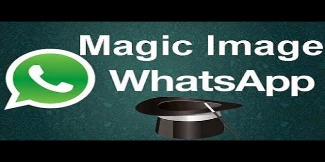 How to click good images for WhatsApp DP