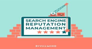 Search Engine Reputation Managements