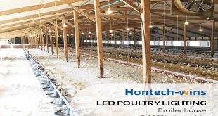Why You Need A Broiler Lighting System for Your Farm